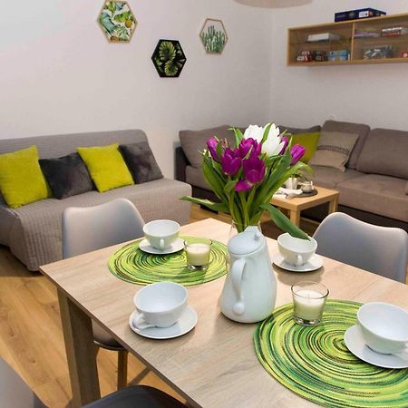 Apartament Grapa Żywiec 외부 사진