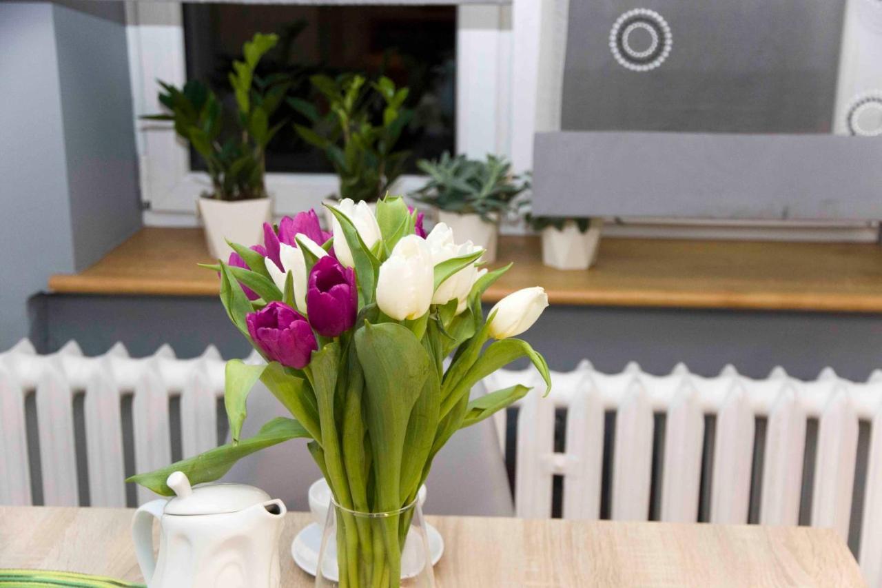 Apartament Grapa Żywiec 외부 사진
